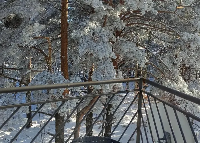 Triangle Apartament *